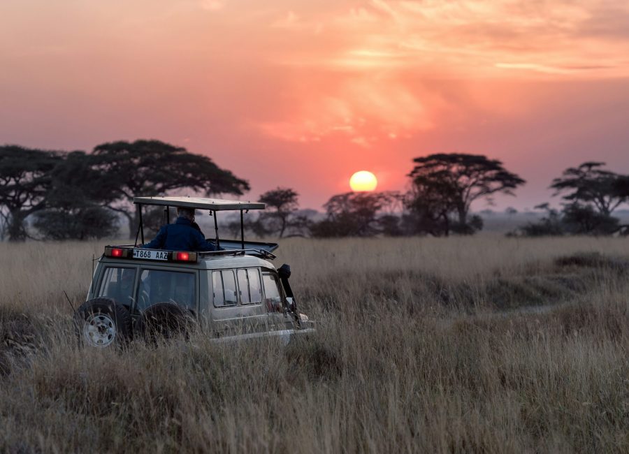 4 days tanzania safari